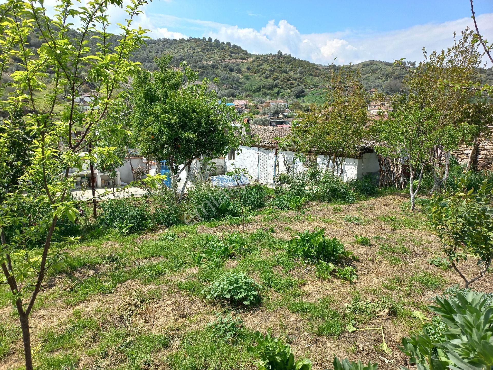 Aydın Yenipazar'da Müstakil Köy Evi - Görsel 34