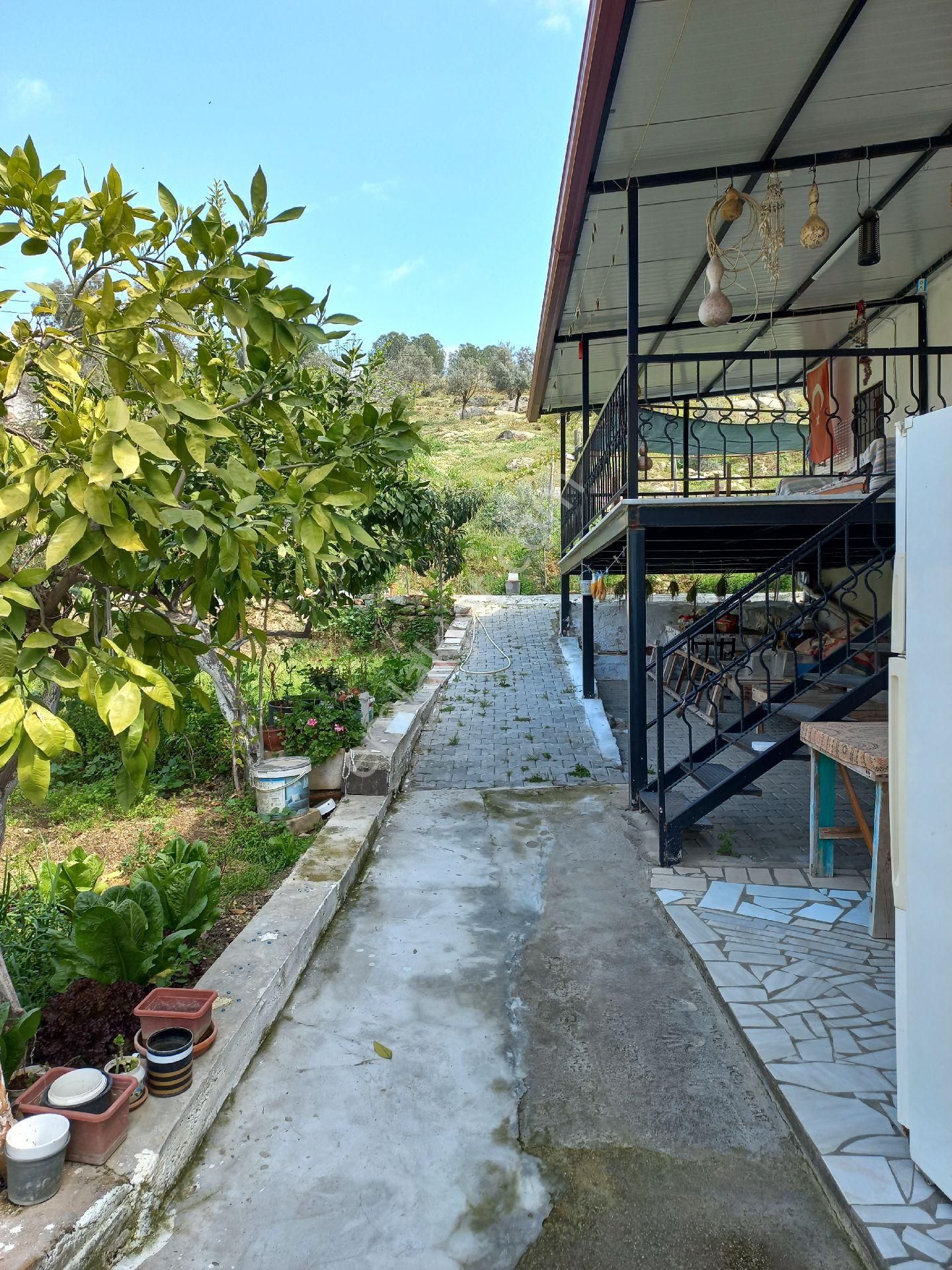 Aydın Yenipazar'da Müstakil Köy Evi - Görsel 30