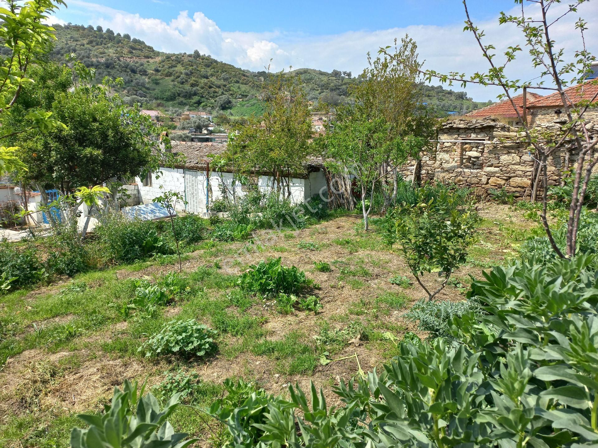 Aydın Yenipazar'da Müstakil Köy Evi - Görsel 33