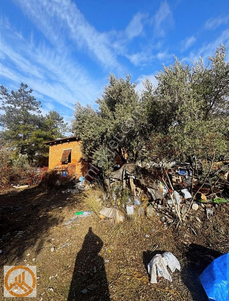 Ula_karabörtlende_720m2_hisse_tapulu_köy_içi_imarlı_satılk_tarla