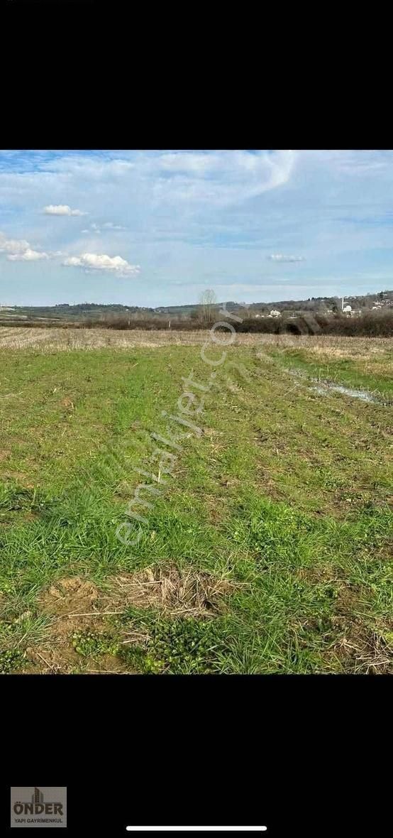 Kandıra Süllü Mahallesi Satılık Tarla 381m2 Merkeze 5 Dakika - Görsel 2