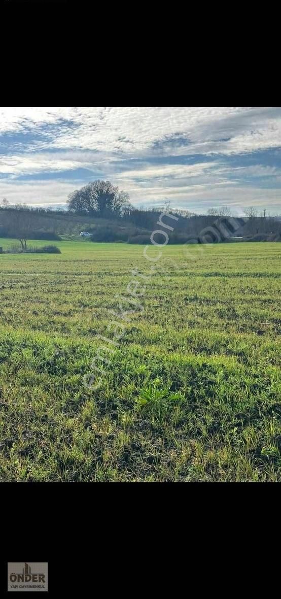 Kandıra Süllü Mahallesi Satılık Tarla 381m2 Merkeze 5 Dakika - Görsel 5