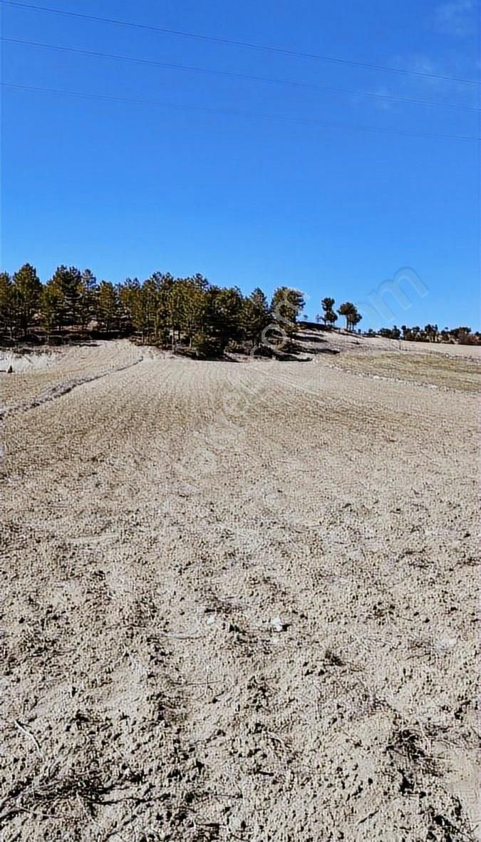 Denizli Çameli Kalınkoz Da Fırsat Tarla 3,516m² Müstakil Tapulu