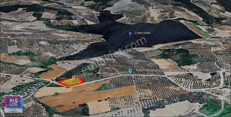 Mudanya Çınarlı Mahallesi Yatırımlık Asfalta Cepheli Tarla