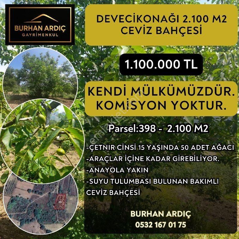 Burhan Ardıç'tan Mustafakemalpaşa Devecikonağı 2100 M2 Ceviz Bahçesi