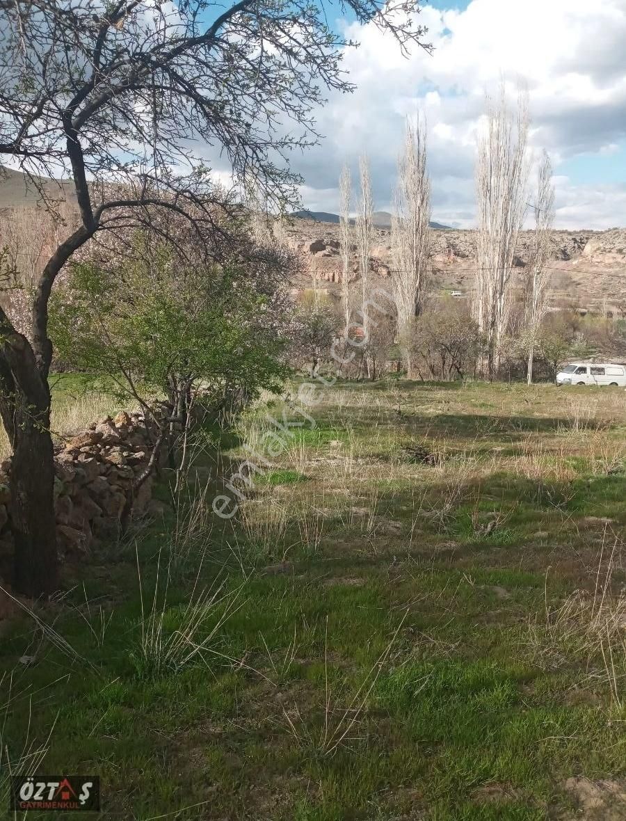 İncesu Derebağda Yola Cepheli Bağ
