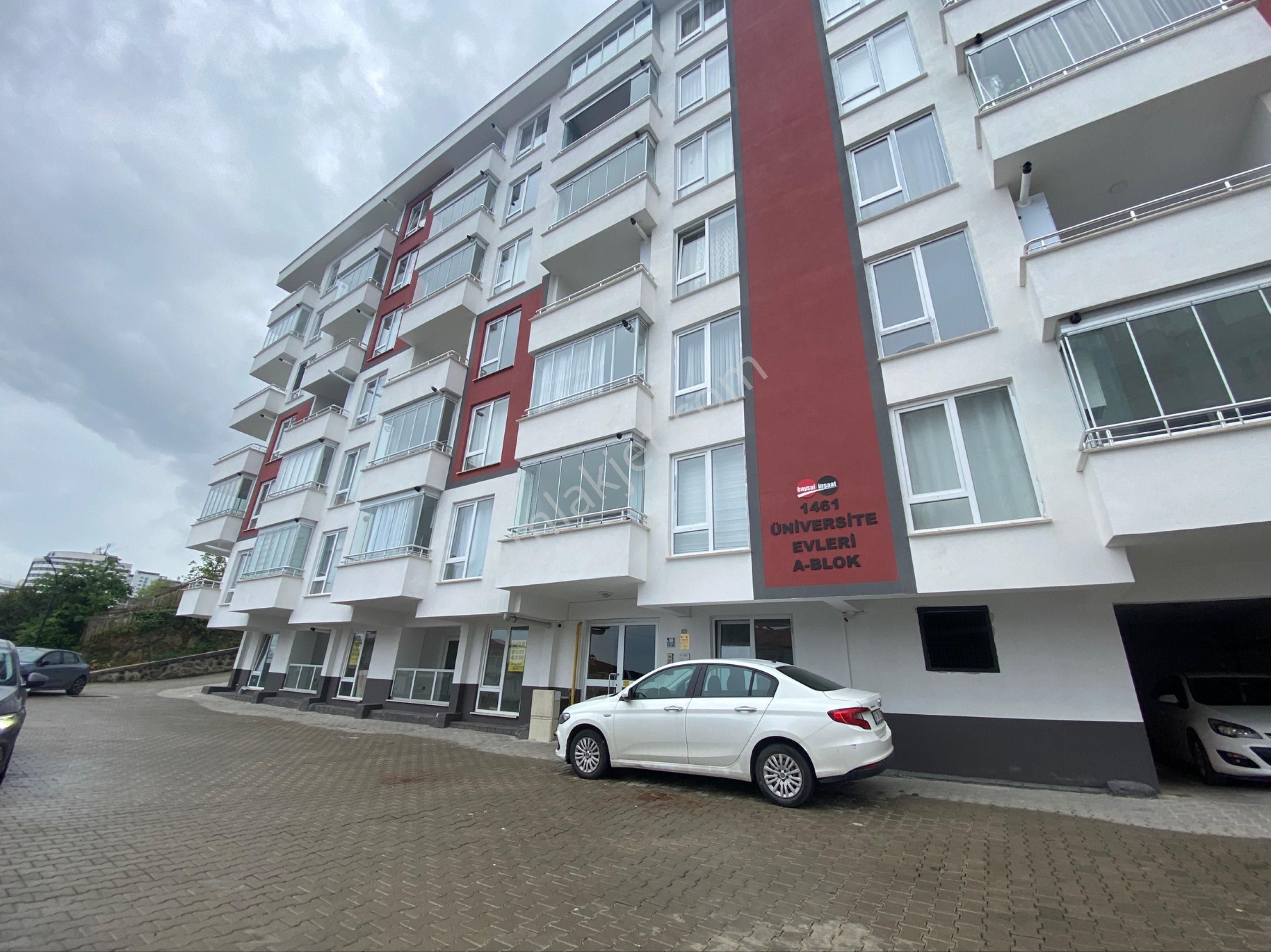 Üniversite Mahallesinde 1+1 Kiralık Daire