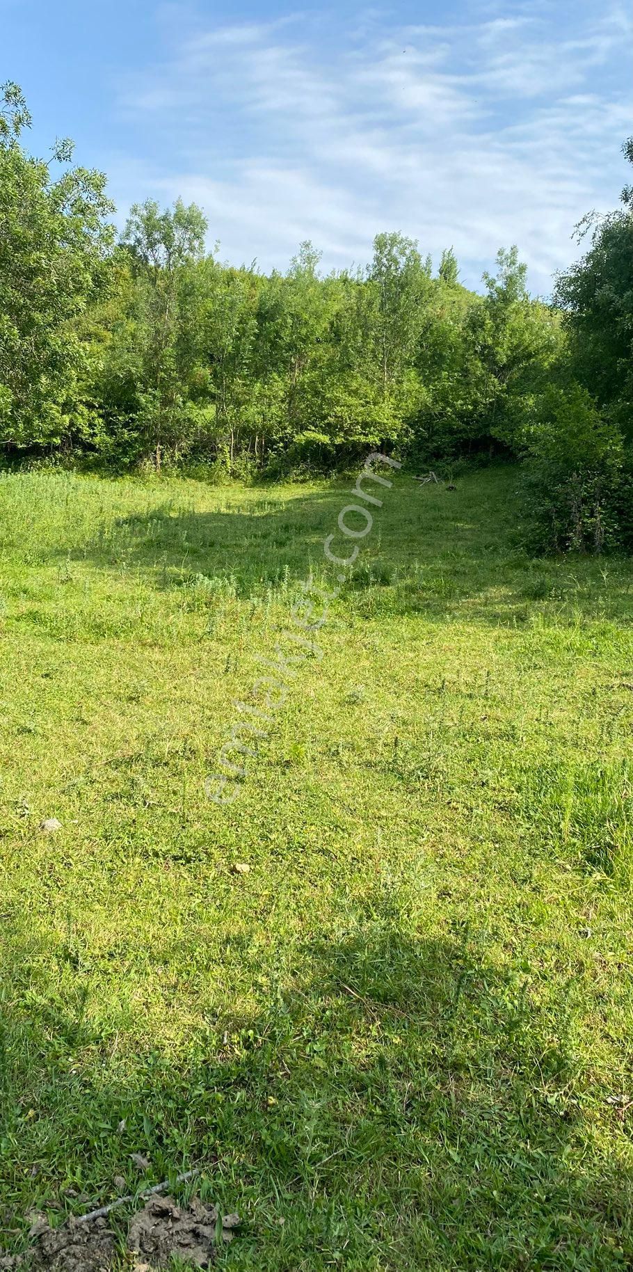 Sandı Emlak Tan Atakum Sarıtaşta Satılık 289m2 Mustakil Tapulu Tarla - Görsel 7
