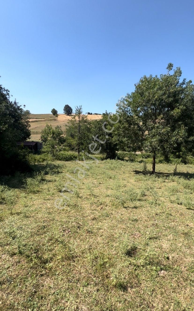 Sandı Emlak Tan Atakum Sarıtaşta Satılık 289m2 Mustakil Tapulu Tarla