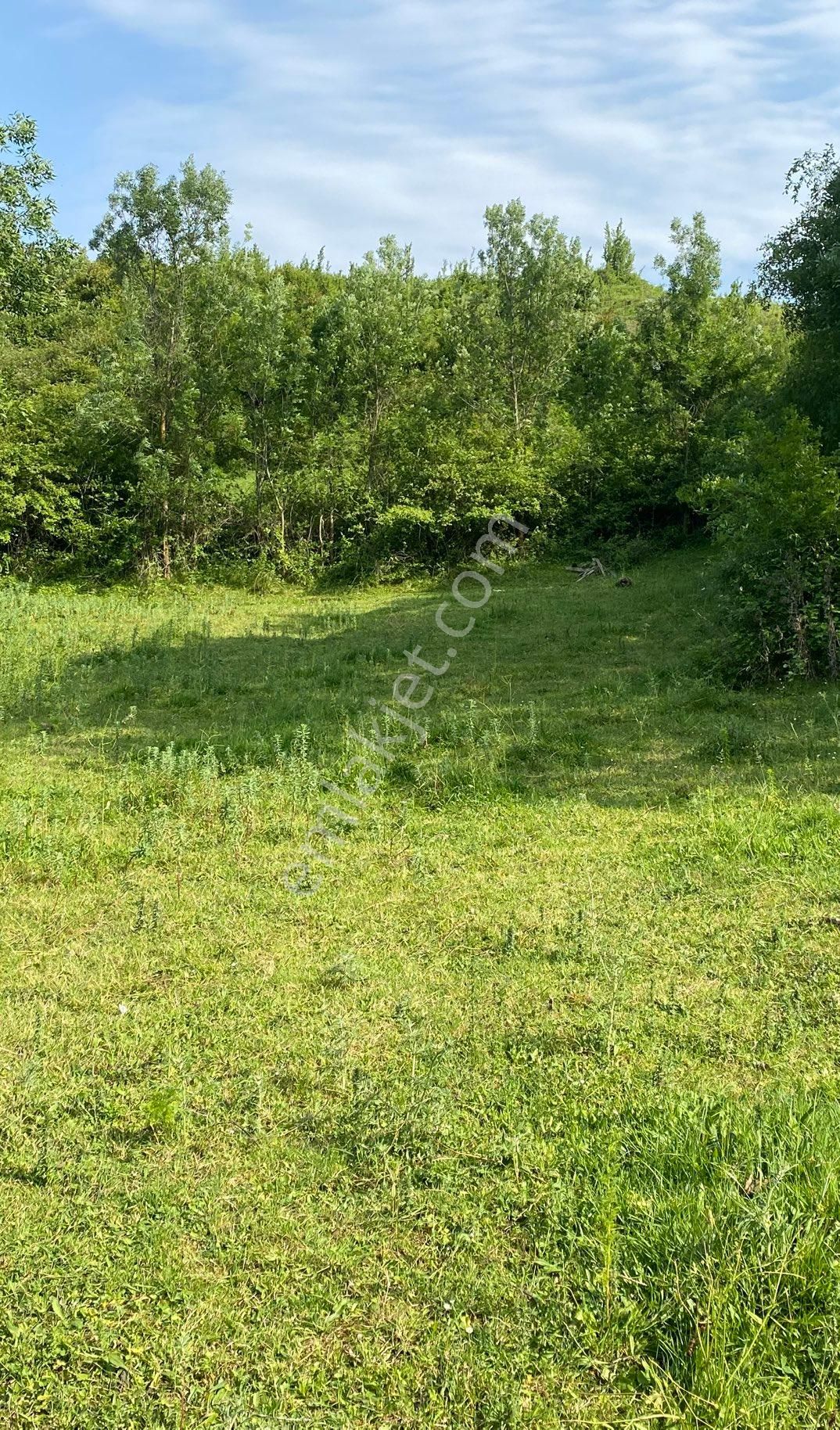 Sandı Emlak Tan Atakum Sarıtaşta Satılık 289m2 Mustakil Tapulu Tarla - Görsel 6