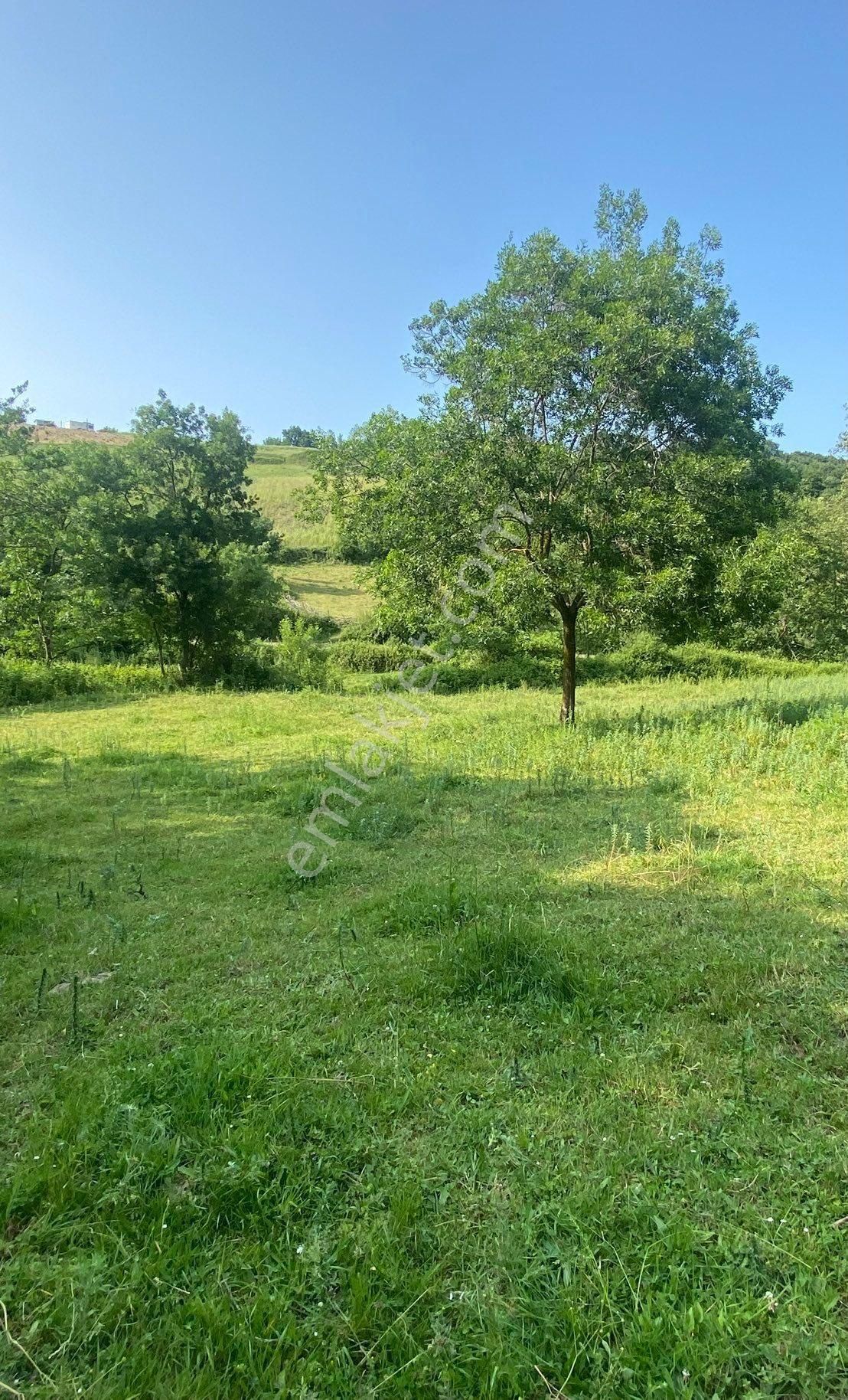 Sandı Emlak Tan Atakum Sarıtaşta Satılık 289m2 Mustakil Tapulu Tarla