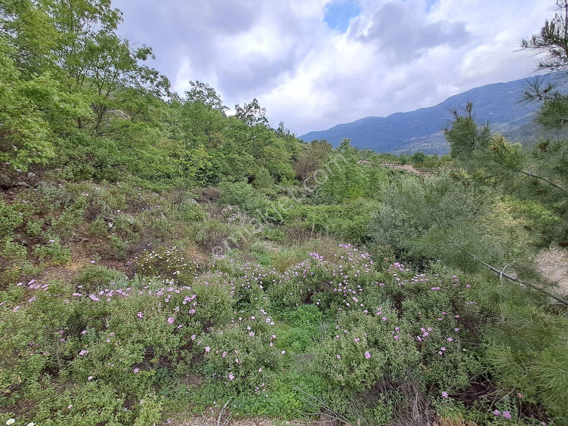1910 M2 Satılık Tarla