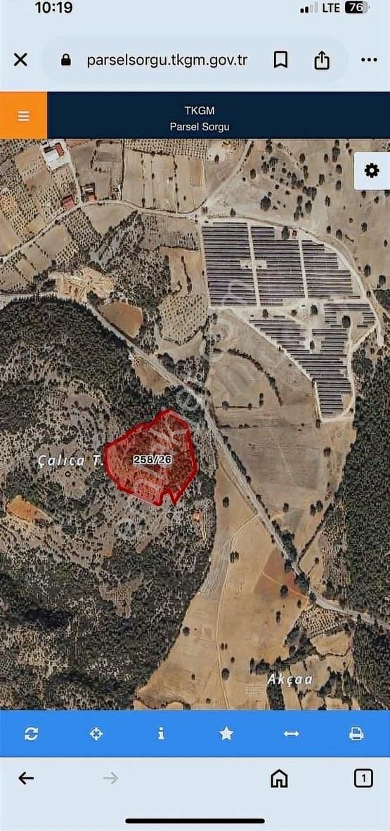 Deniz Ovada Yola Çok Yakın . En Büyük Arazi