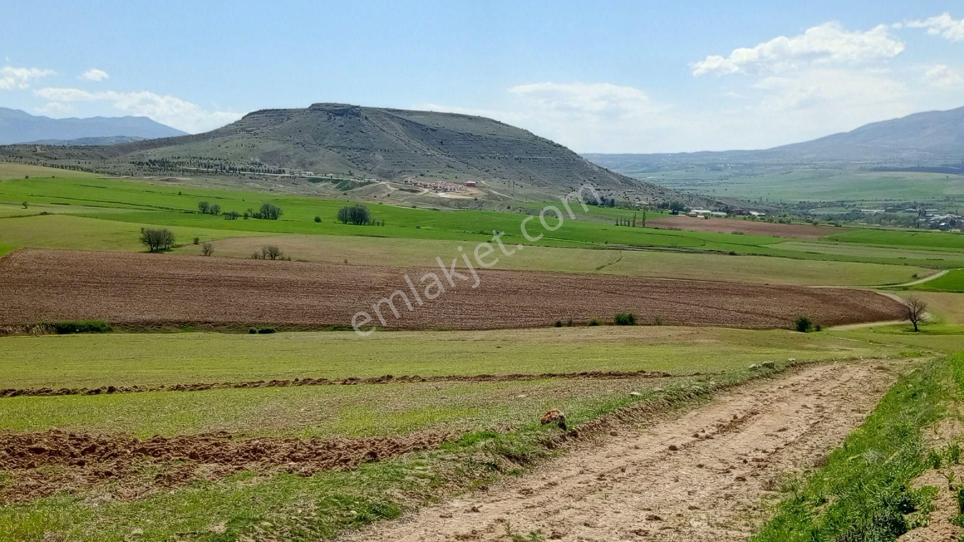 Nekerek Harmantepe Mevkinde Satlık Tarla