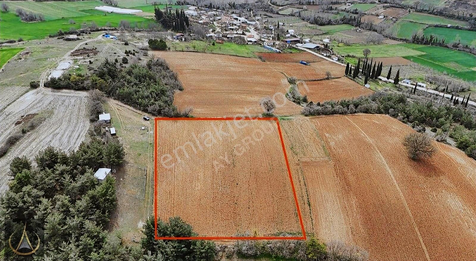 Bursa Yenışehir Toprakdere 3.890 M2 Kaçırılmayacak Kupon Tarla