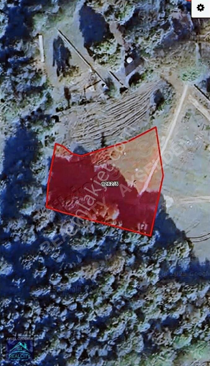 Ayselden Şile Yazımanayır,damüstakil 1788m2 Satılık Tarla