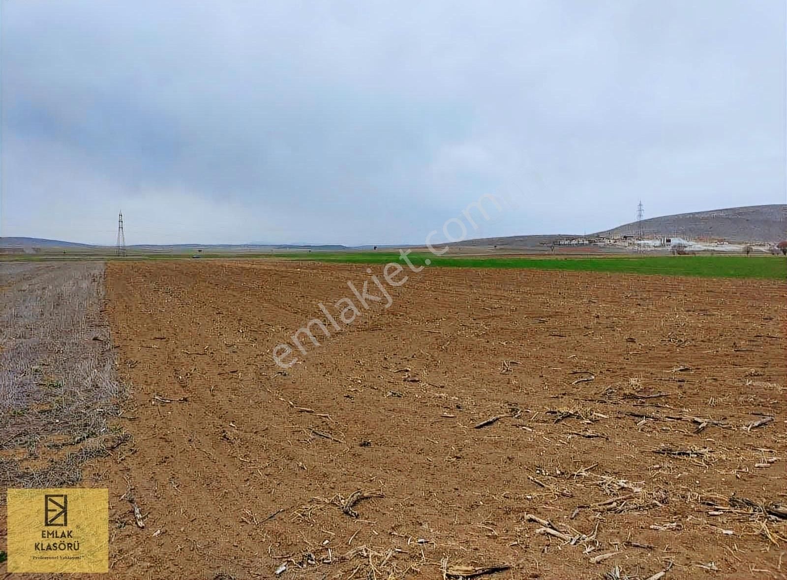 Fırsat! Altıntaş'ta Asfalt Yol Cepheli 7 Dönüm