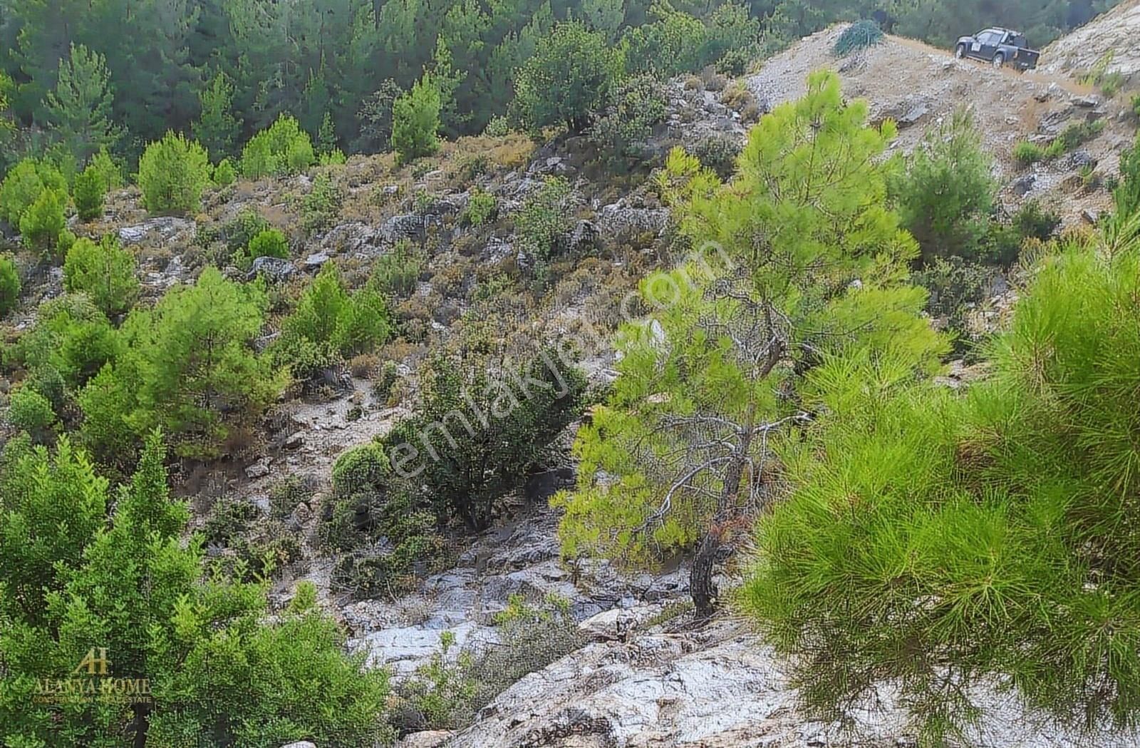 Alanya Öteköy 4977 M2 Bahce Ve Ev Yapmaya Uygun Tarla - Görsel 3