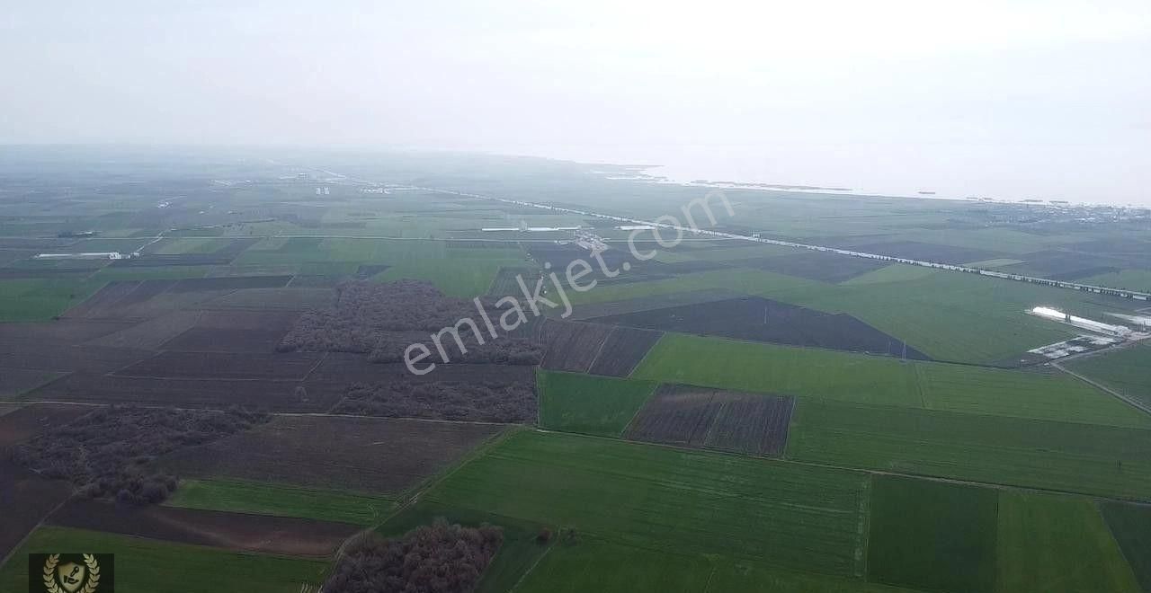 Çalışkanlar Gayrimenkulden 15560 M2 Satılık Tarla