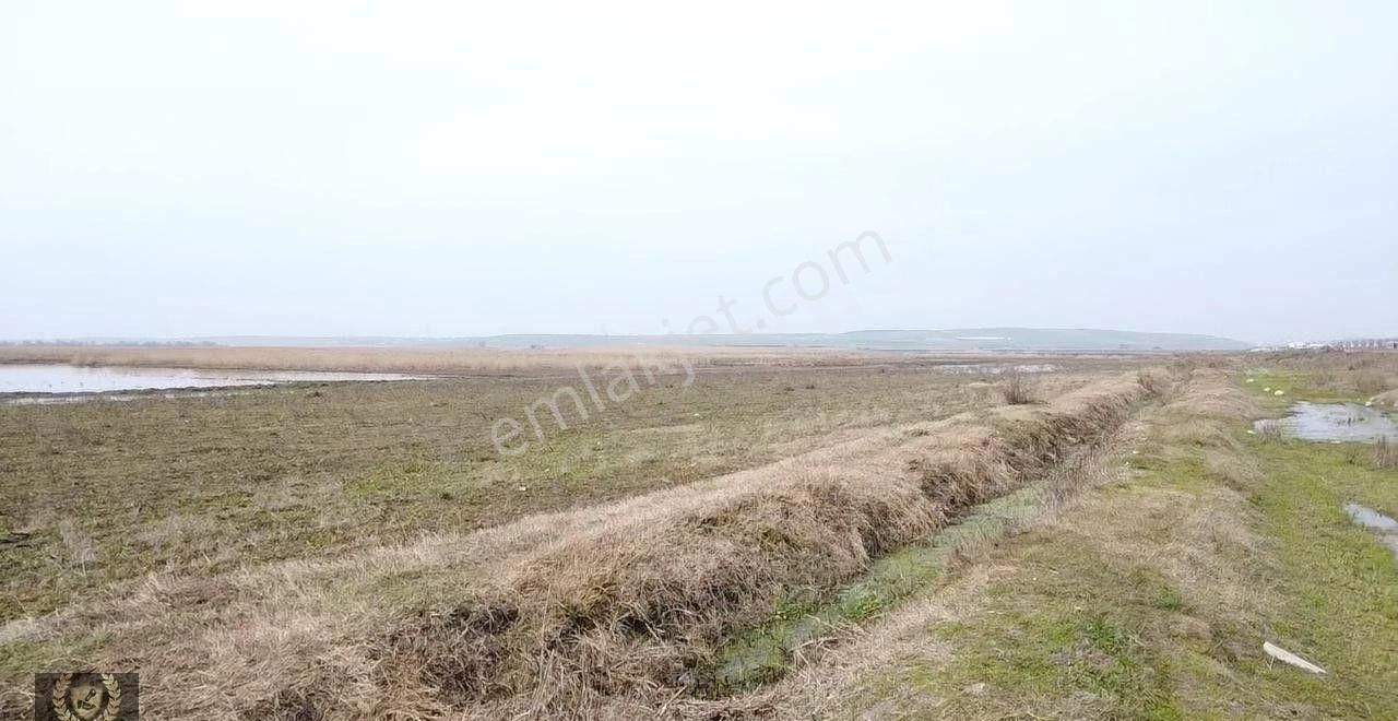 Çalışkanlar Gayrimenkulden 5560 M2 Satılık Tarla