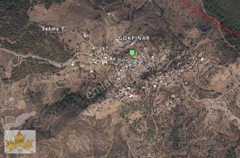 Çınar Emlaktan Bodrum Gökpınarda Satılık Zeytinlik Ve Tarlalar