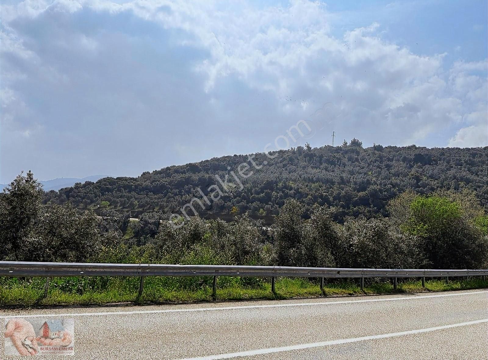 Mudanya Kumyaka'da Yola Cepheli 3676 M2 Satılık Tarla