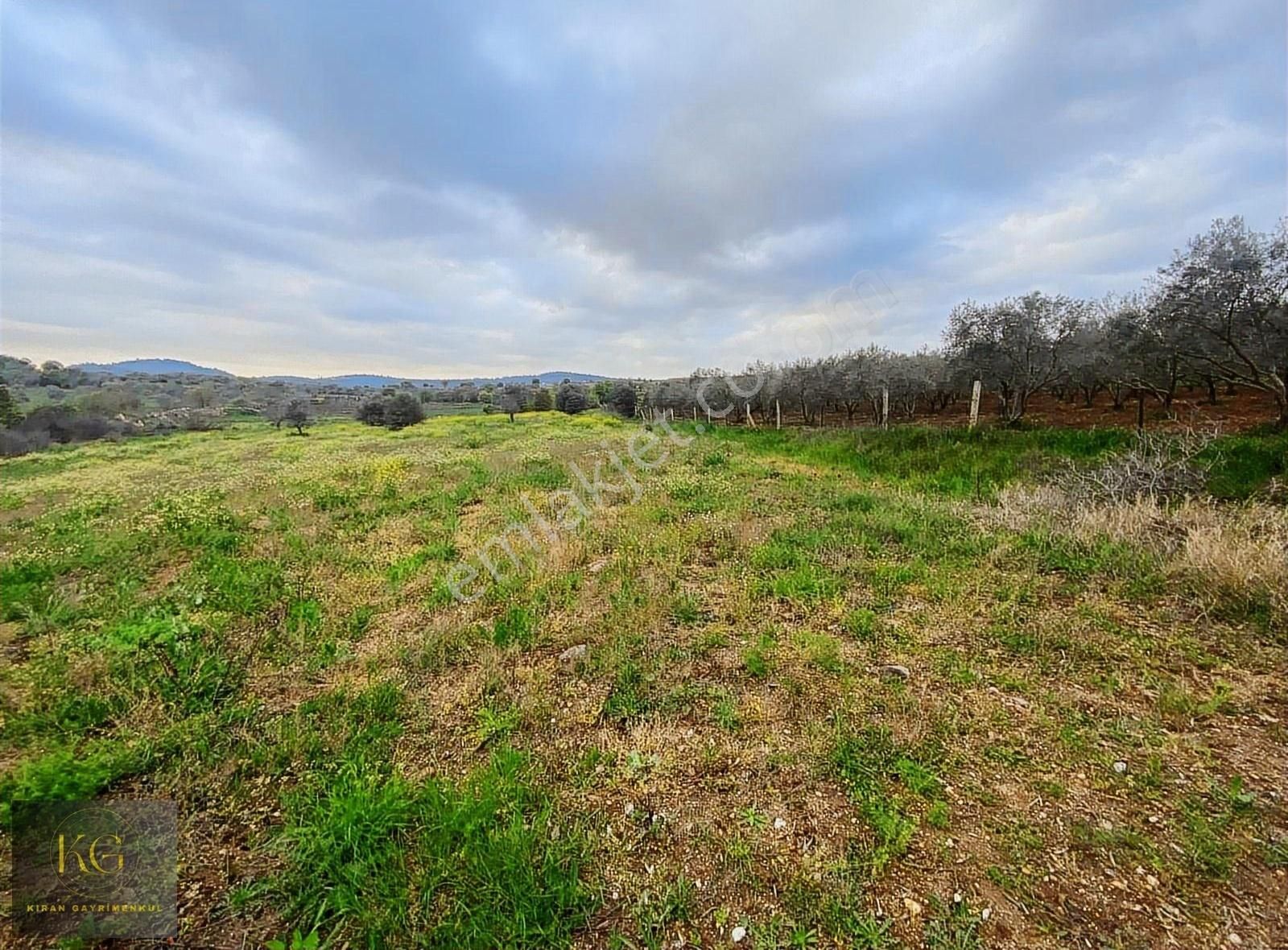 Manisa Yunusemre Gülbahçede Satılık 6,650 M2 Tarla