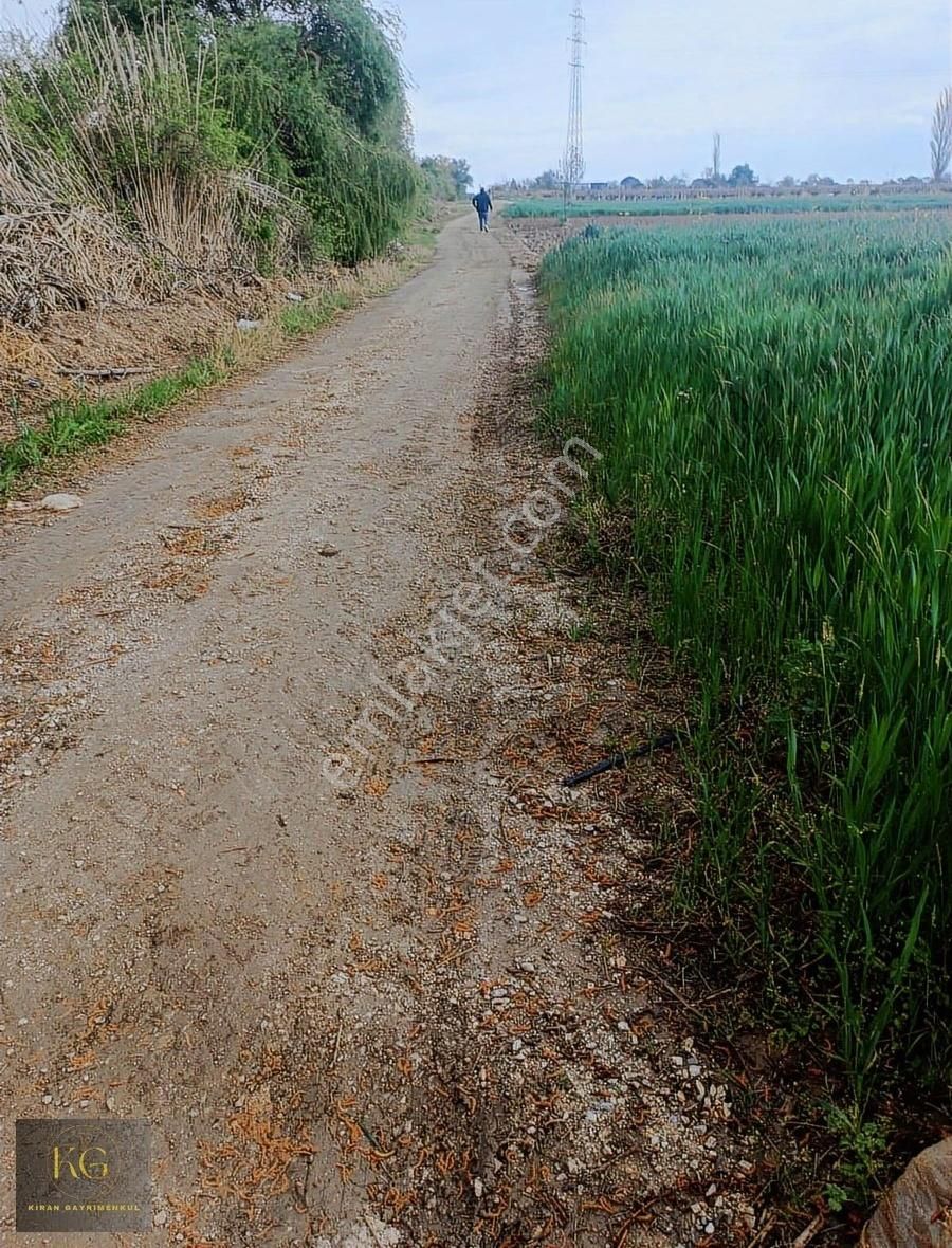 Manisa Yunusemre Yağçılarda Satılık 596 M2 Hobi Bahçesi