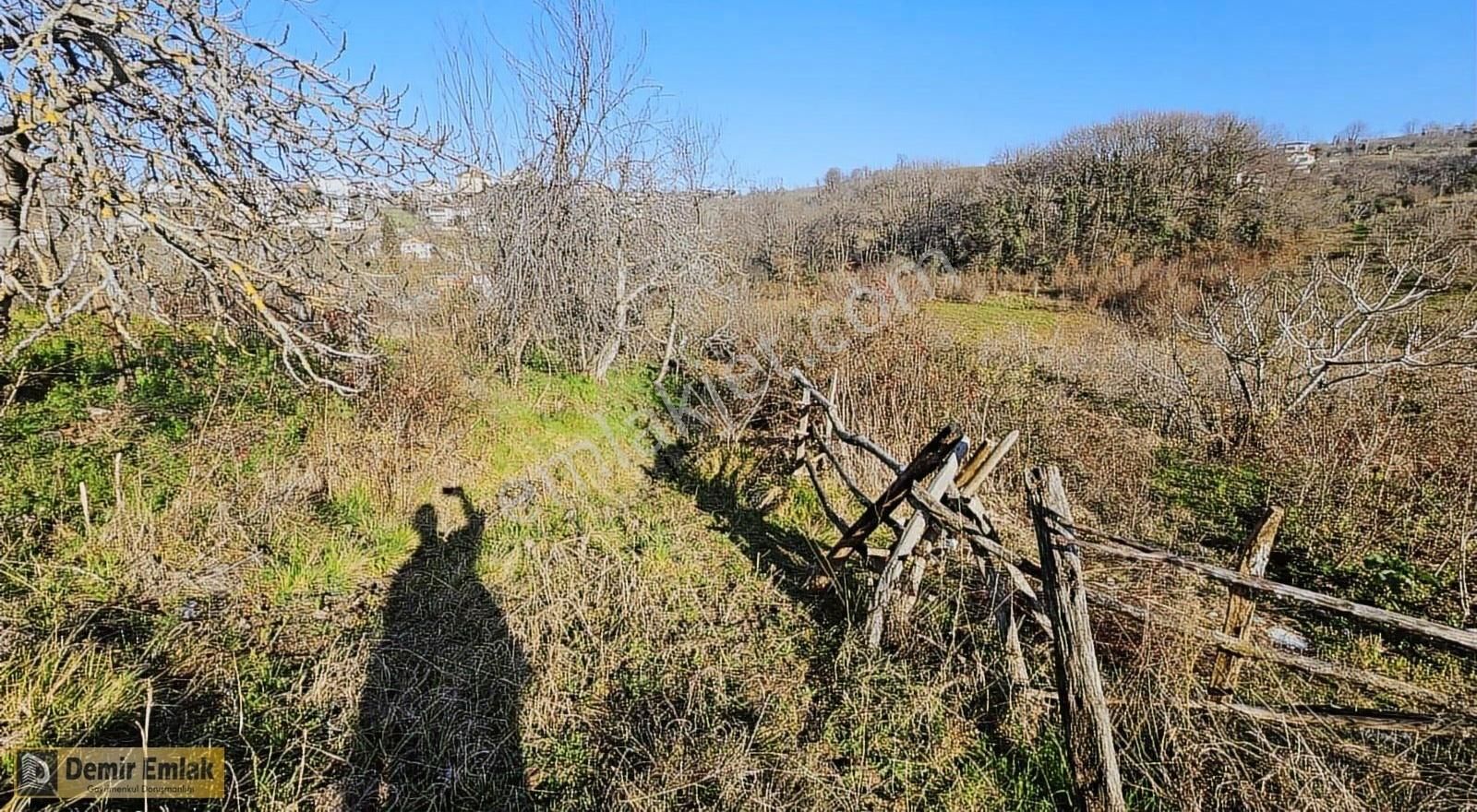 Yeni Mahallde Yerleşim Alanına Yakın Doğa İçerisinde Arazi - Görsel 9