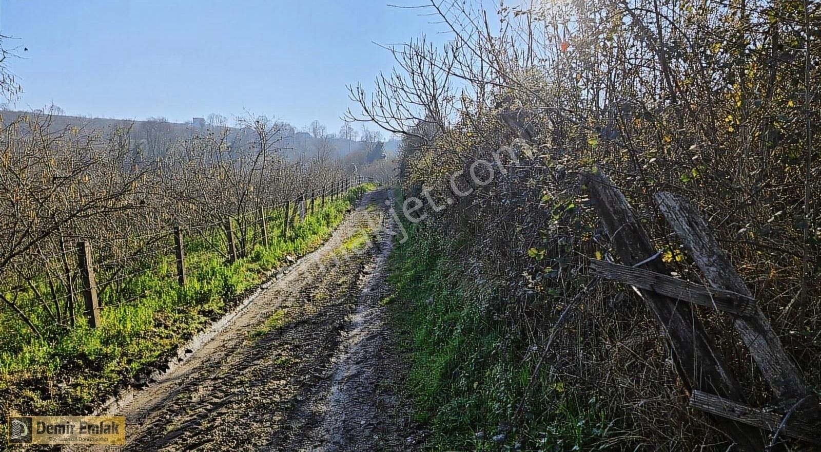Yeni Mahallde Yerleşim Alanına Yakın Doğa İçerisinde Arazi - Görsel 7