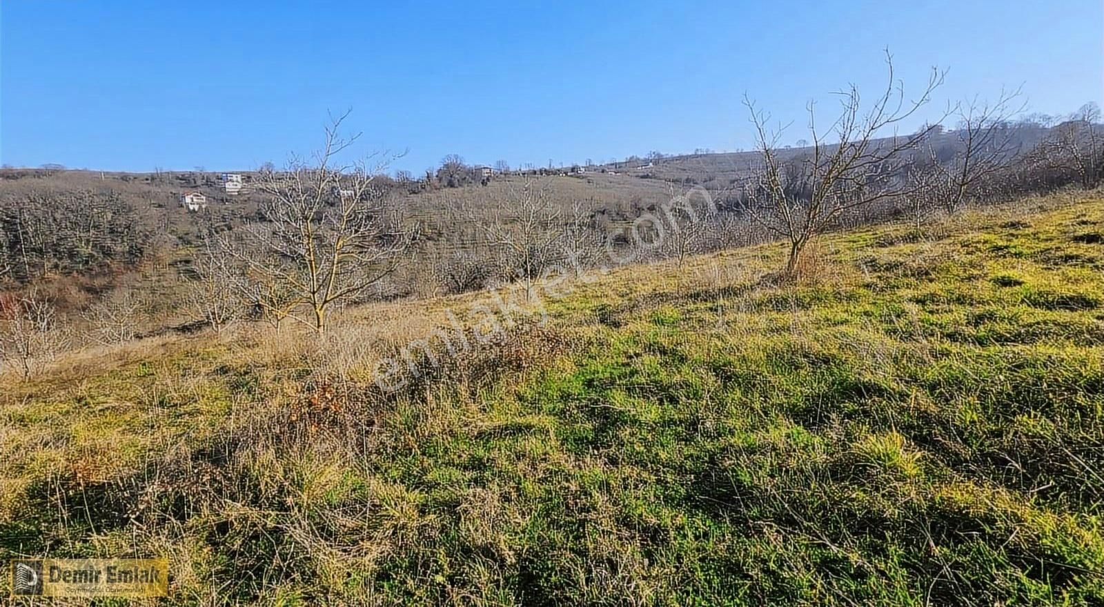Yeni Mahallde Yerleşim Alanına Yakın Doğa İçerisinde Arazi - Görsel 6