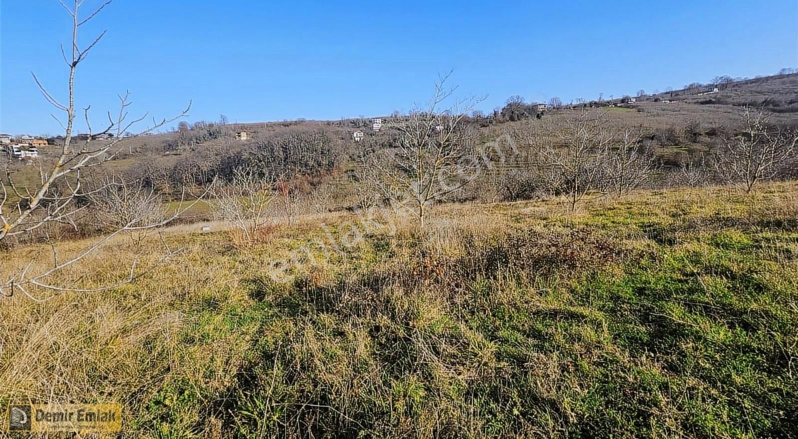 Yeni Mahallde Yerleşim Alanına Yakın Doğa İçerisinde Arazi - Görsel 11