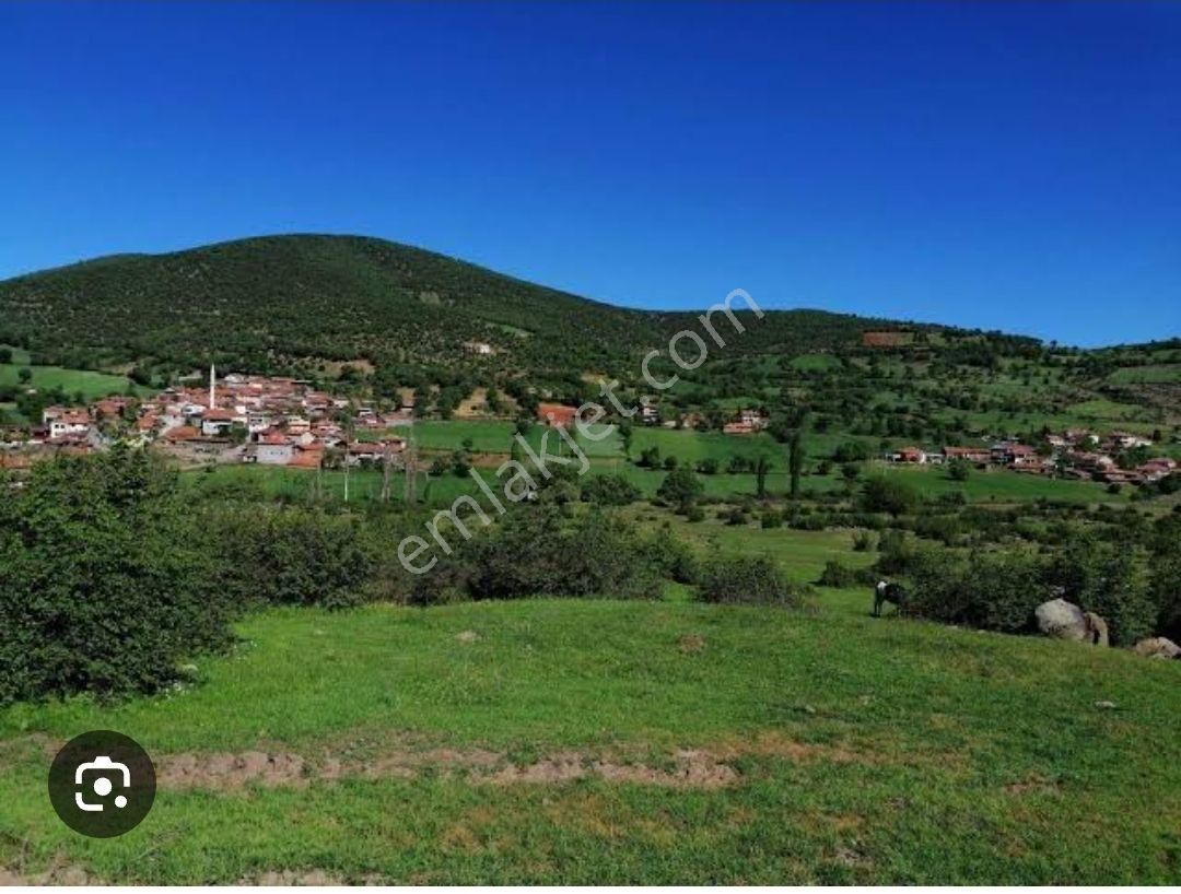 Kepsut Danahisar Satılık Arsalar