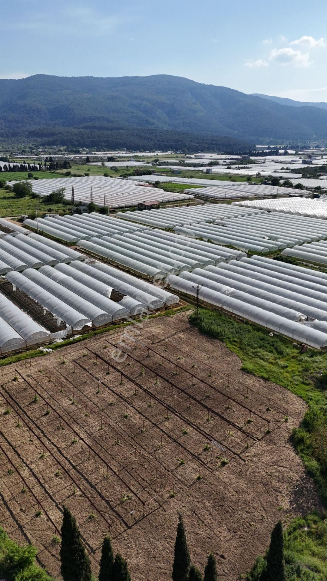 İzmir Değirmenderede Satılık Tektapu 3.000 M2 Yatırımlık Arazi - Görsel 24