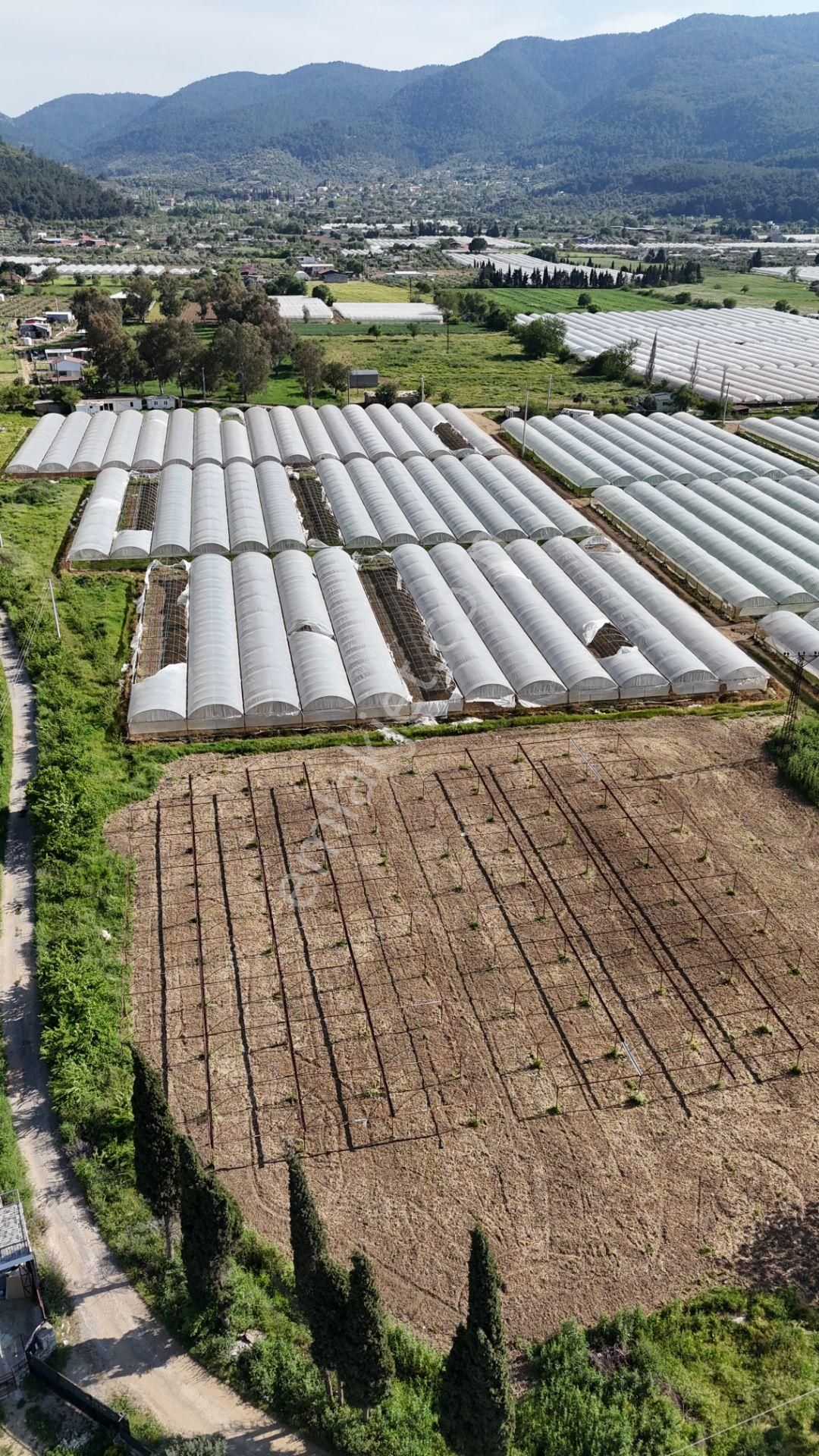 İzmir Değirmenderede Satılık Tektapu 3.000 M2 Yatırımlık Arazi - Görsel 18