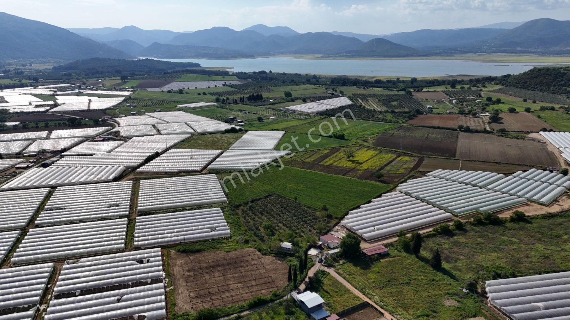 İzmir Değirmenderede Satılık Tektapu 3.000 M2 Yatırımlık Arazi - Görsel 11