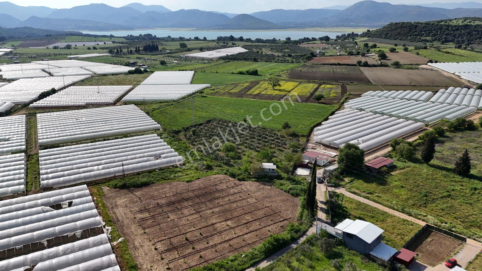 İzmir Değirmenderede Satılık Tektapu 3.000 M2 Yatırımlık Arazi - Görsel 2