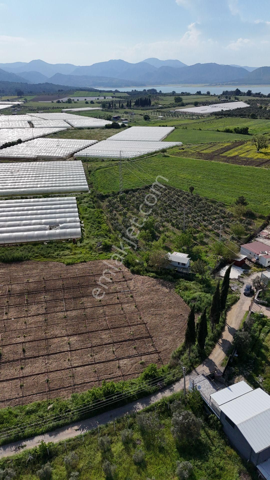 İzmir Değirmenderede Satılık Tektapu 3.000 M2 Yatırımlık Arazi - Görsel 12