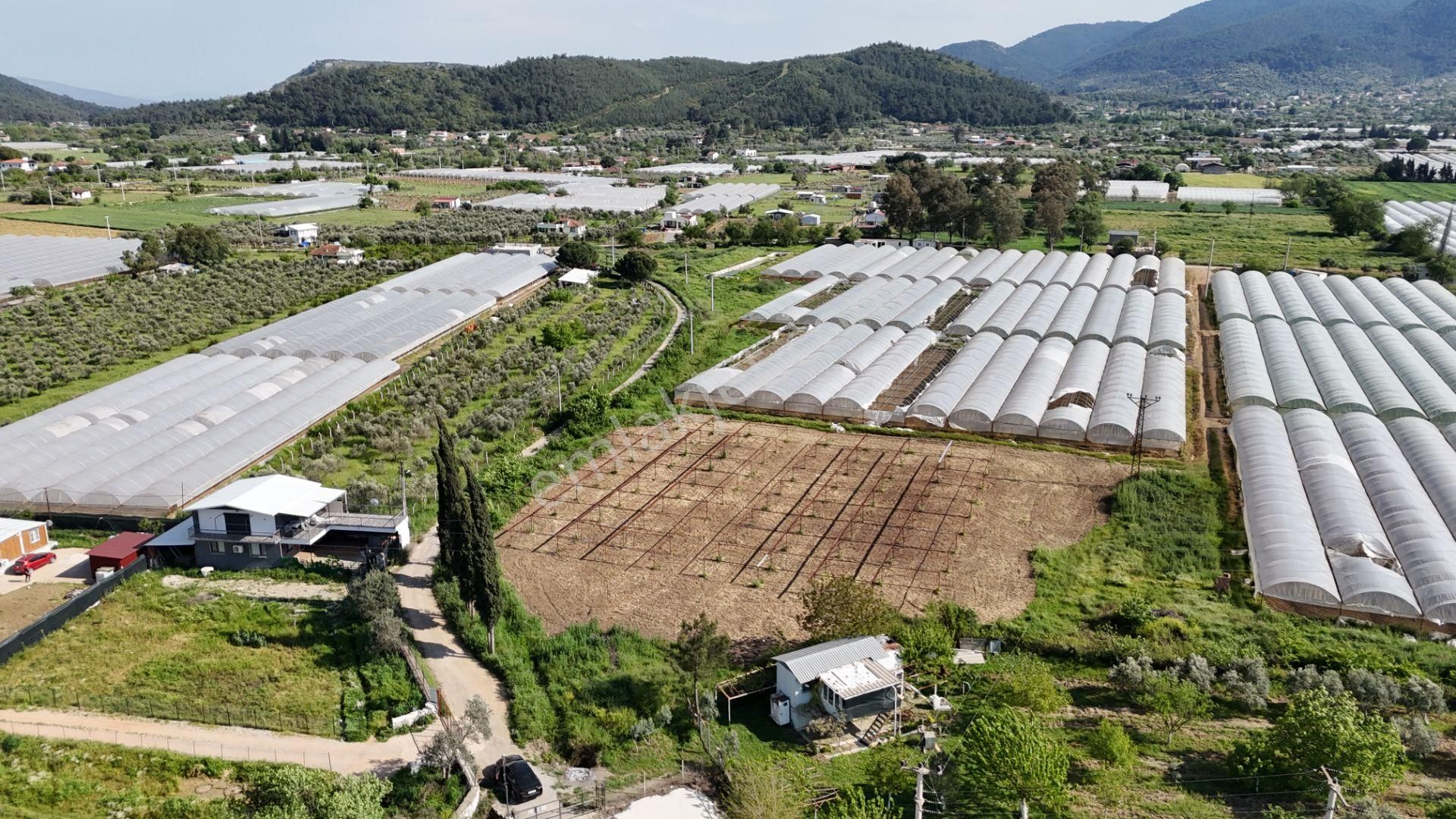 İzmir Değirmenderede Satılık Tektapu 3.000 M2 Yatırımlık Arazi - Görsel 7