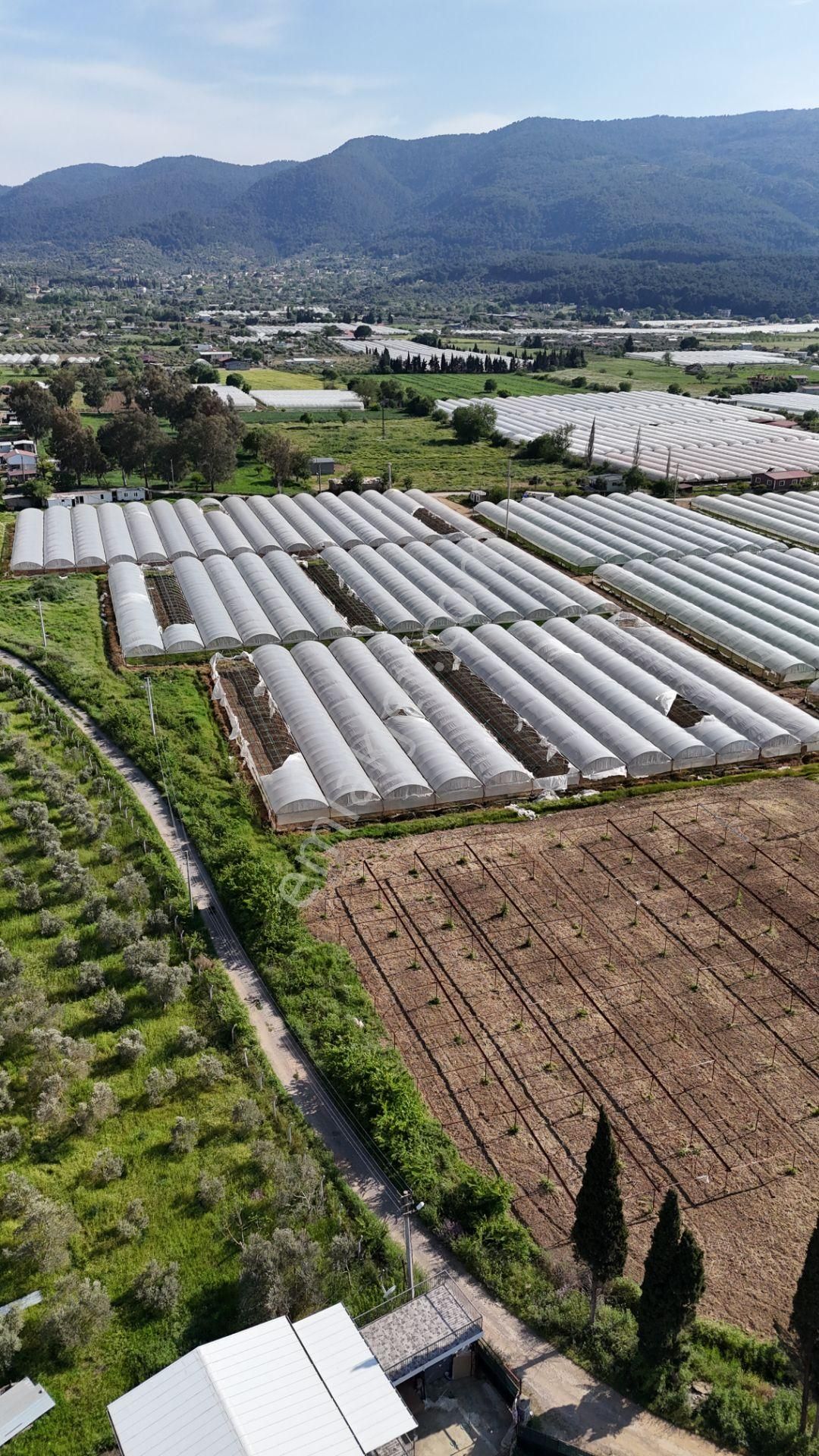 İzmir Değirmenderede Satılık Tektapu 3.000 M2 Yatırımlık Arazi - Görsel 19