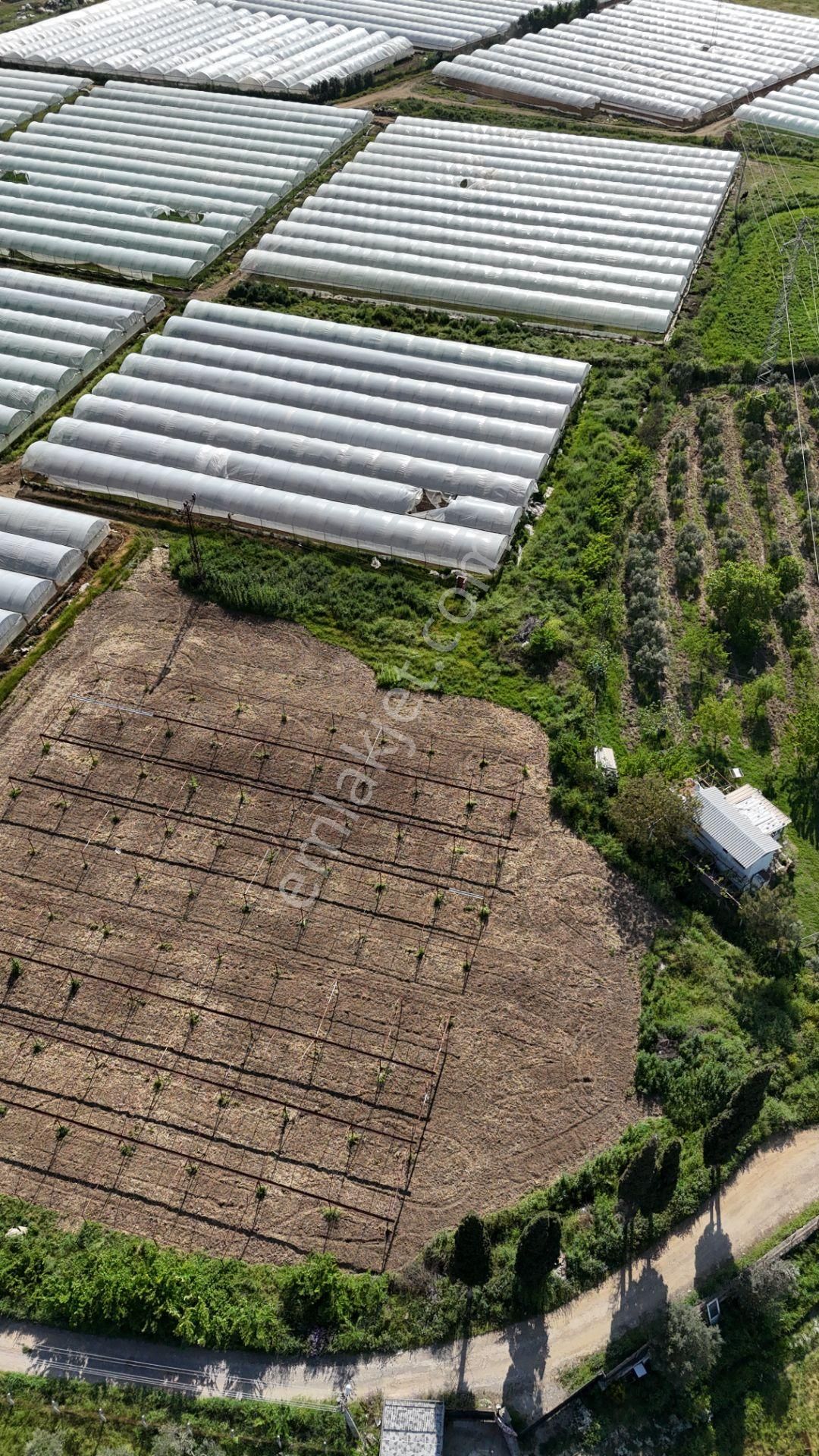 İzmir Değirmenderede Satılık Tektapu 3.000 M2 Yatırımlık Arazi - Görsel 20