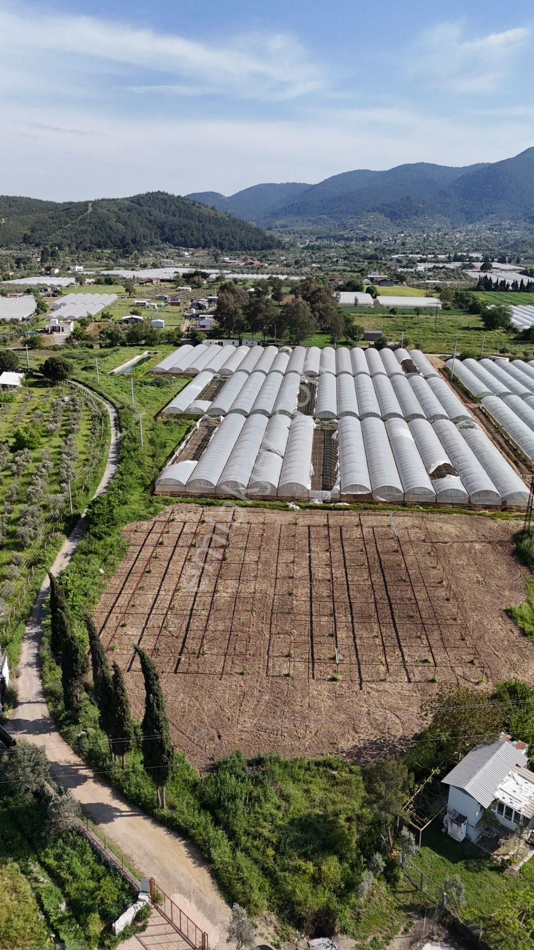 İzmir Değirmenderede Satılık Tektapu 3.000 M2 Yatırımlık Arazi - Görsel 14