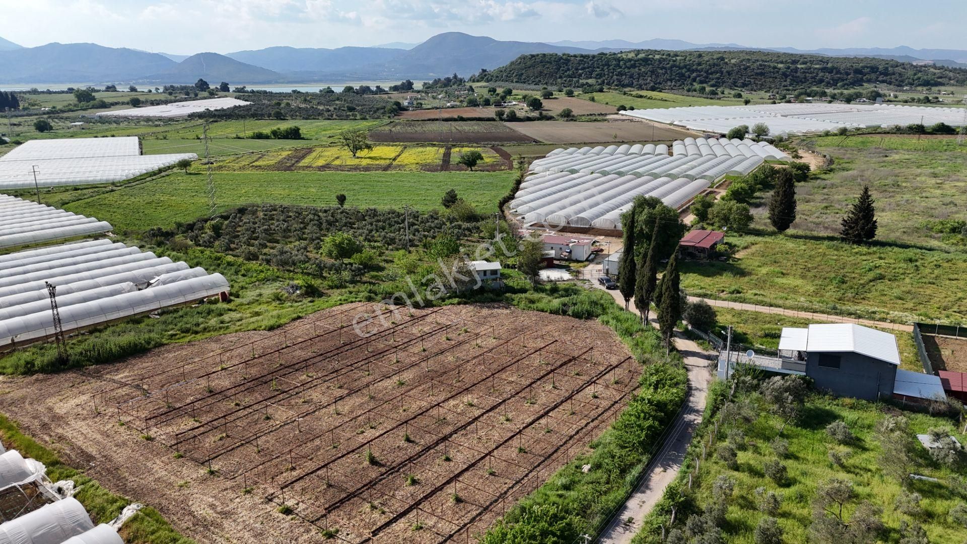 İzmir Değirmenderede Satılık Tektapu 3.000 M2 Yatırımlık Arazi - Görsel 3