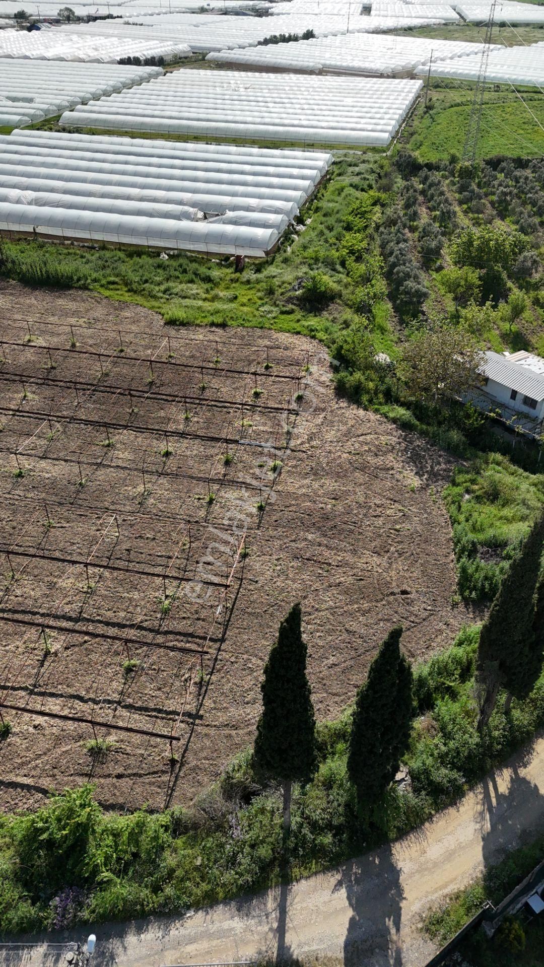 İzmir Değirmenderede Satılık Tektapu 3.000 M2 Yatırımlık Arazi - Görsel 21