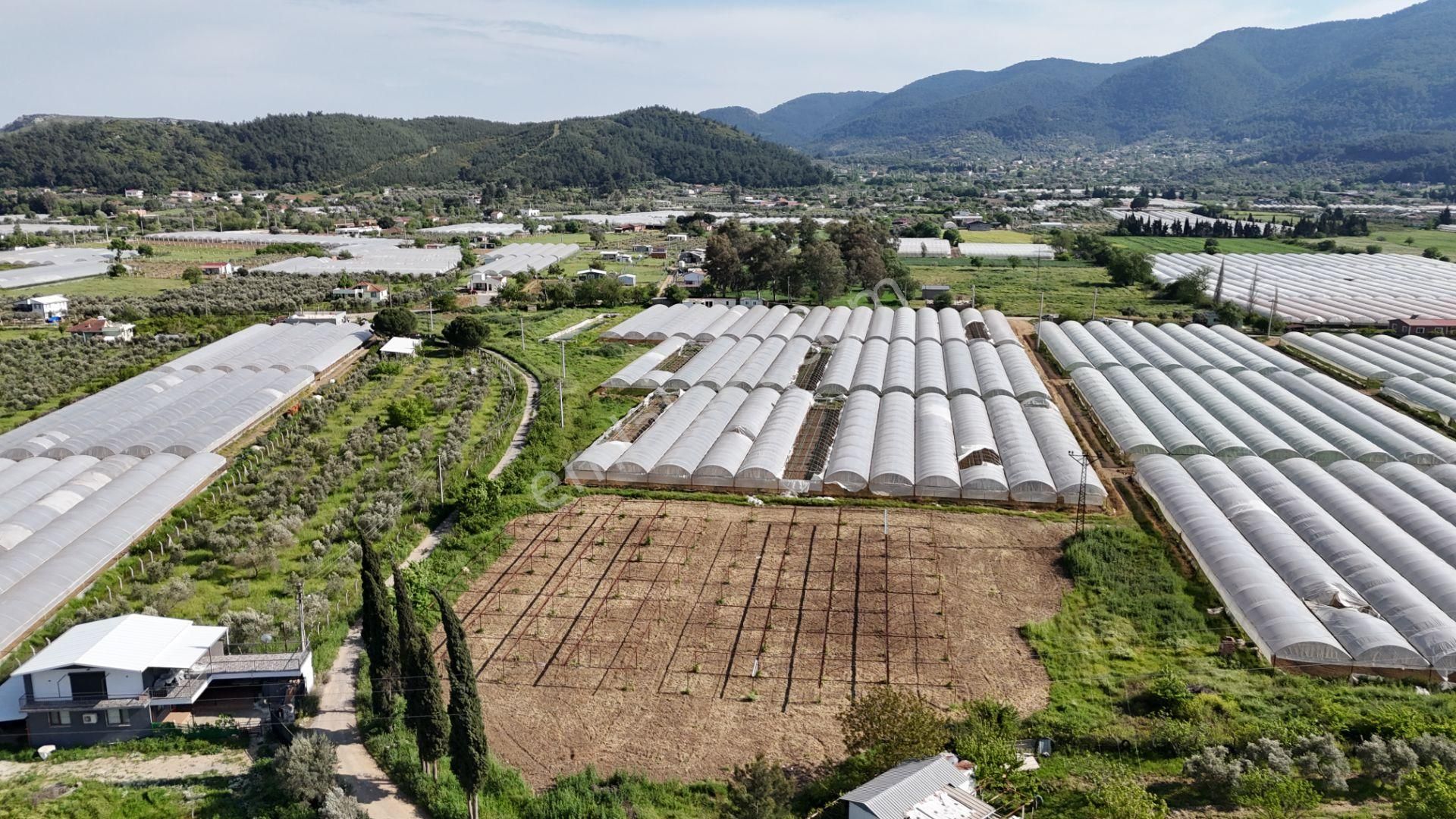 İzmir Değirmenderede Satılık Tektapu 3.000 M2 Yatırımlık Arazi - Görsel 8