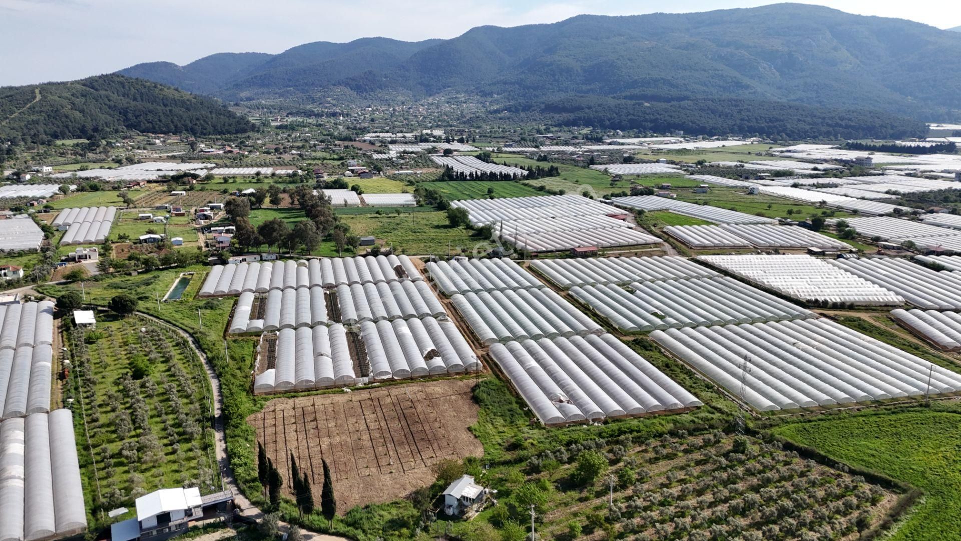 İzmir Değirmenderede Satılık Tektapu 3.000 M2 Yatırımlık Arazi - Görsel 10