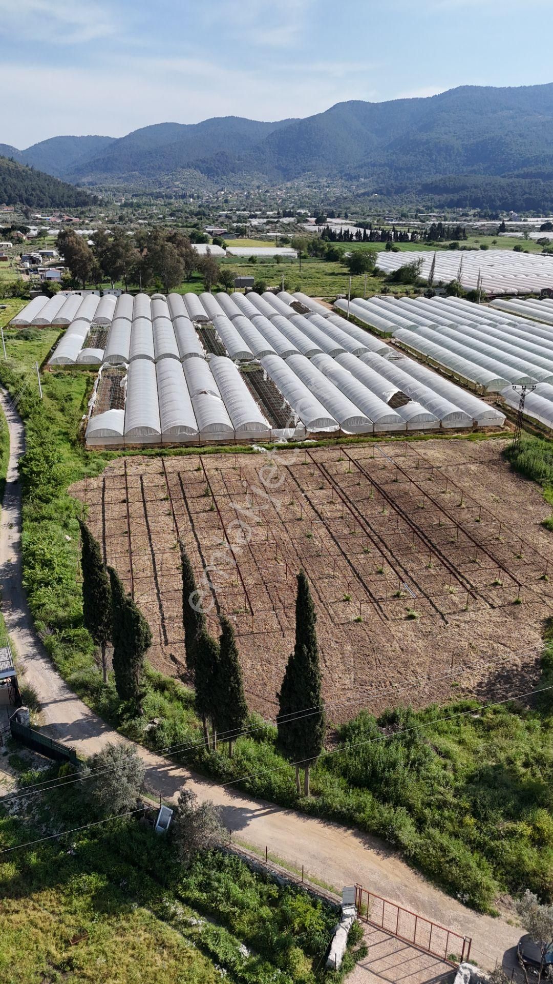 İzmir Değirmenderede Satılık Tektapu 3.000 M2 Yatırımlık Arazi - Görsel 17