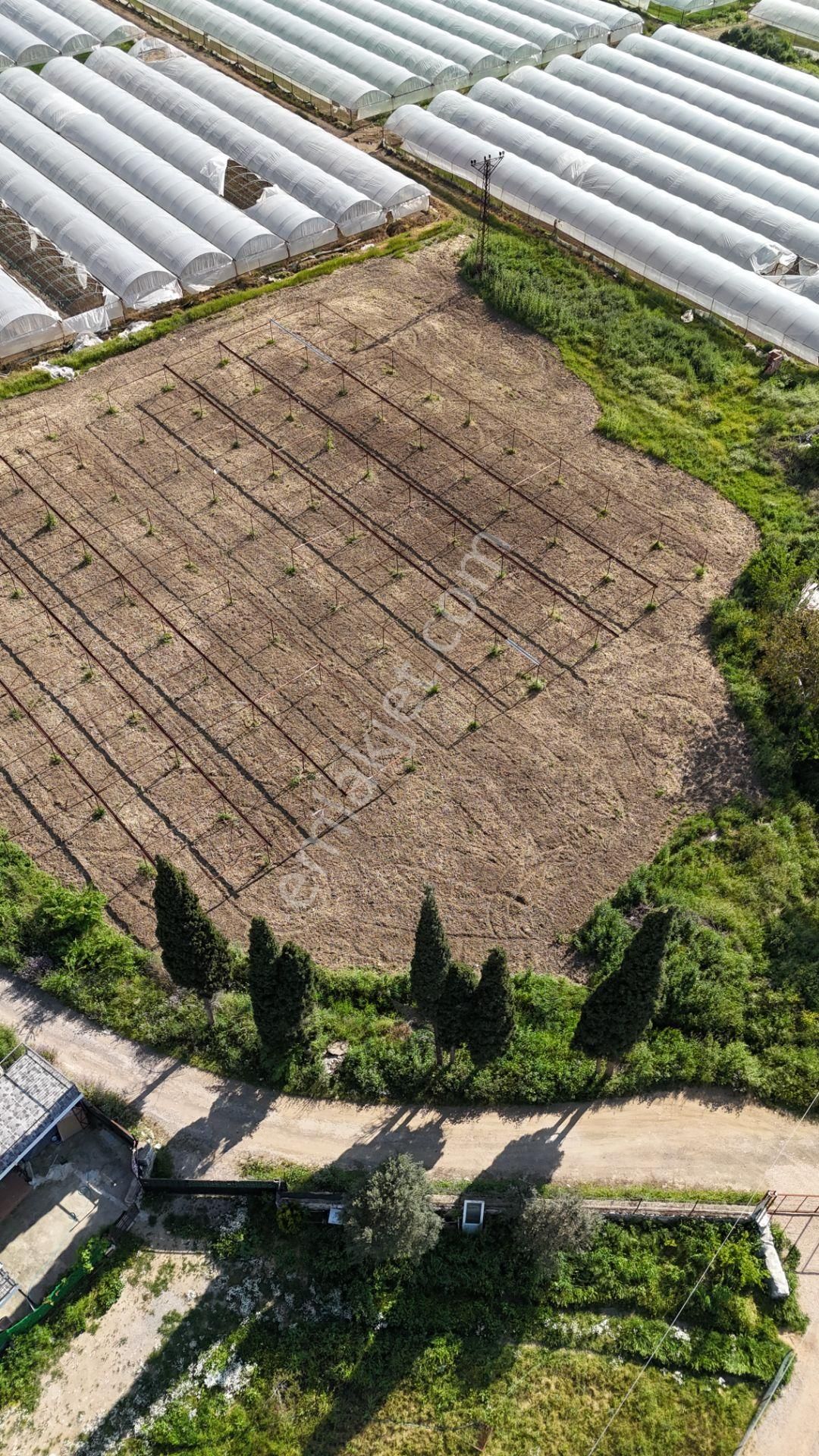 İzmir Değirmenderede Satılık Tektapu 3.000 M2 Yatırımlık Arazi - Görsel 23