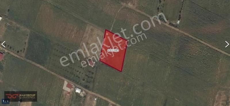 Tekirdağ Süleymanpaşa 1841 M² Lik Bağ Yeri
