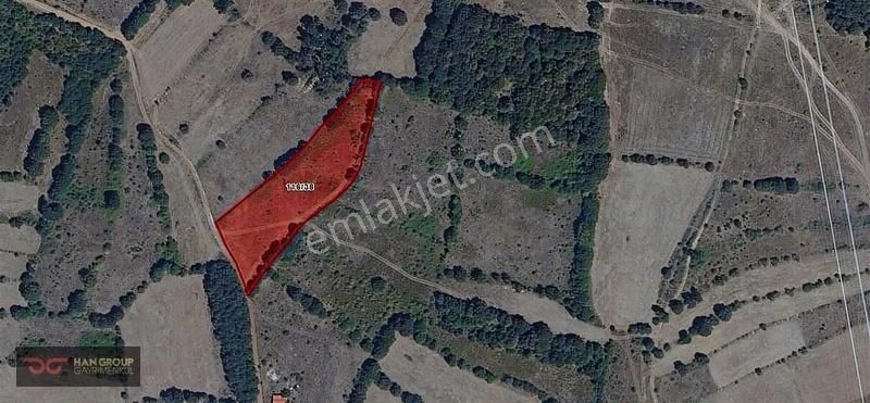 Tekirdağ Saray Sefealan Köyü Kirazlık 245 M²